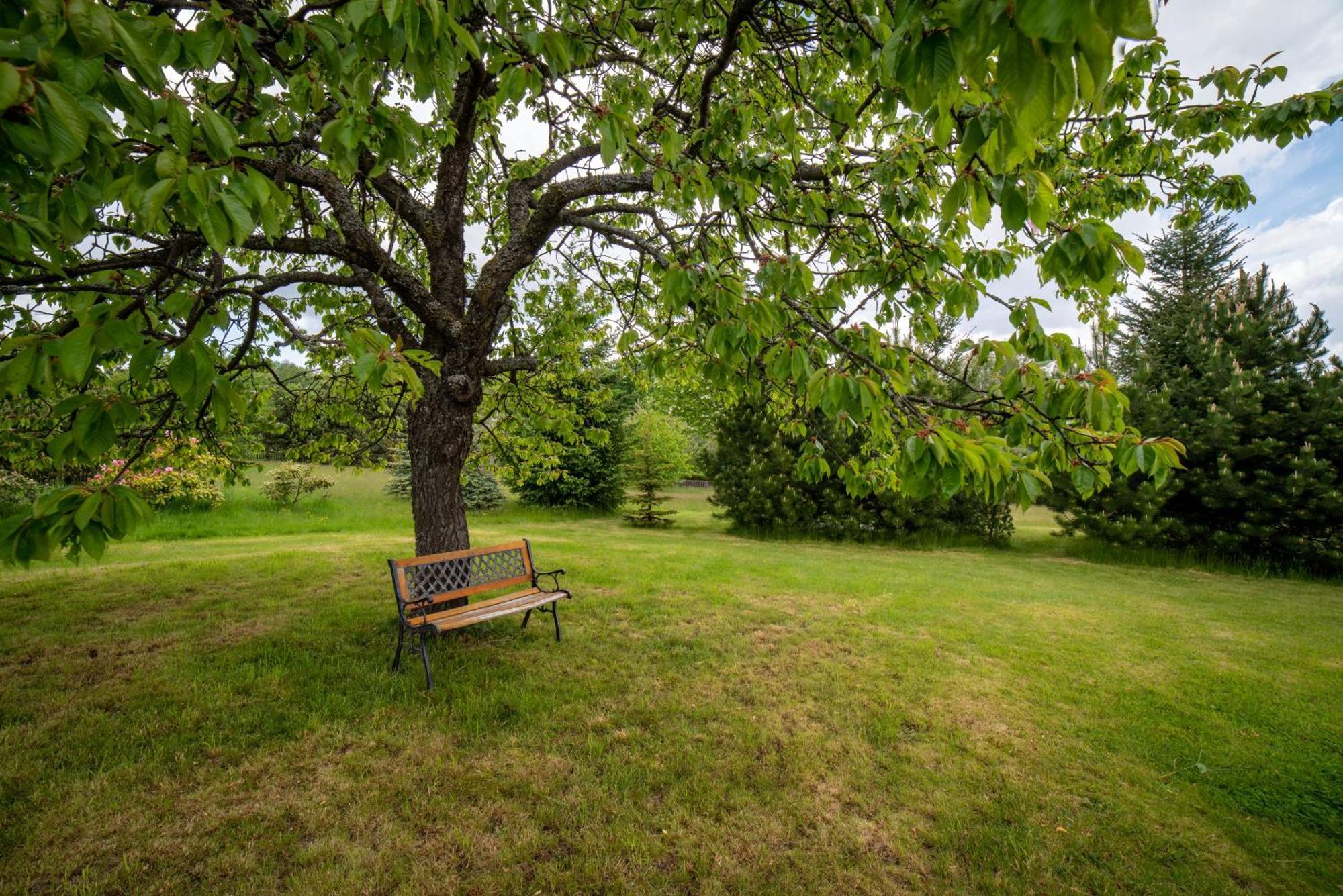Apartmán U Mluvících Kamenů Stare Krecany Esterno foto