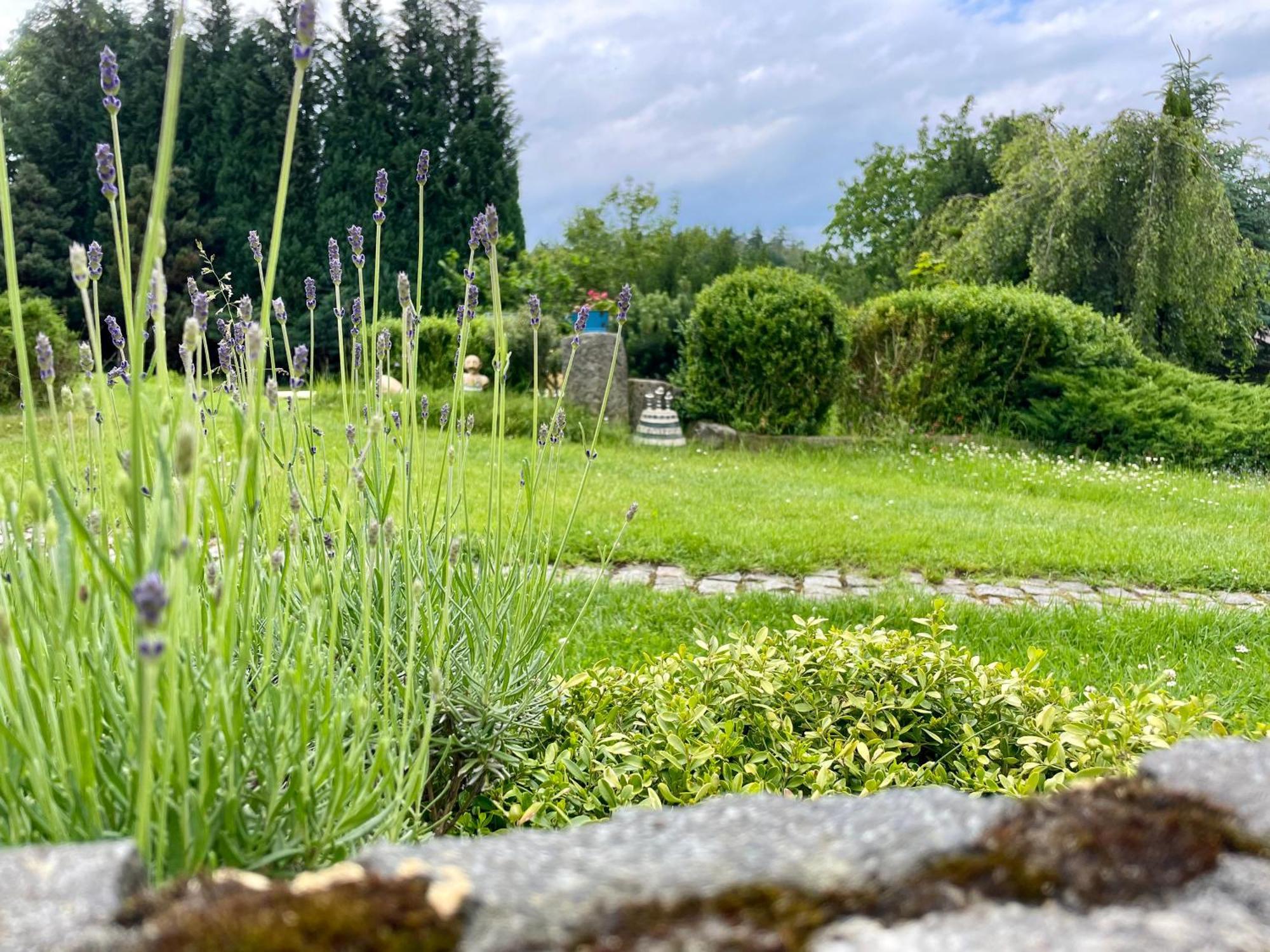Apartmán U Mluvících Kamenů Stare Krecany Esterno foto
